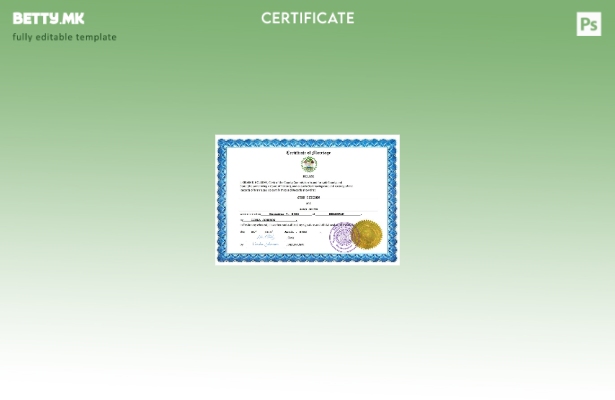 модерен стил Белизе венчаница Шаблон Word и PDF шаблон